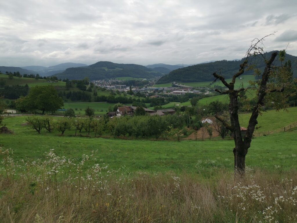 Tir Cantonal de Bale 2019